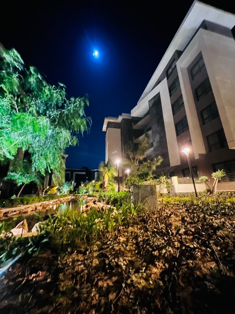 Privado at night